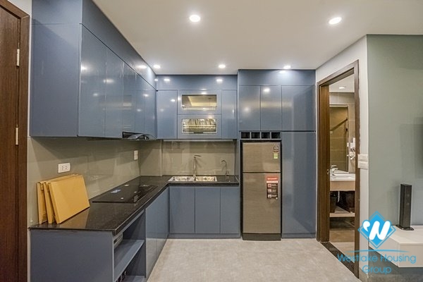 Stunning studio for rent in Hoan Kiem